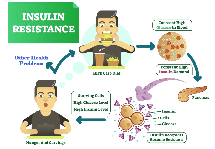 How LCHF Improves Insulin Sensitivity?